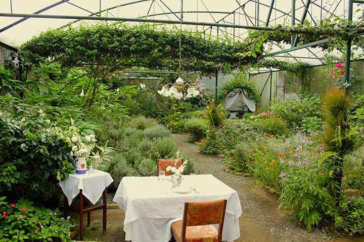 proposal garden table proposal garden table