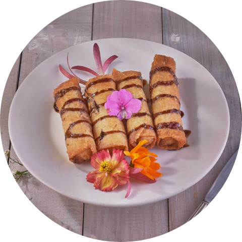 turon circle
