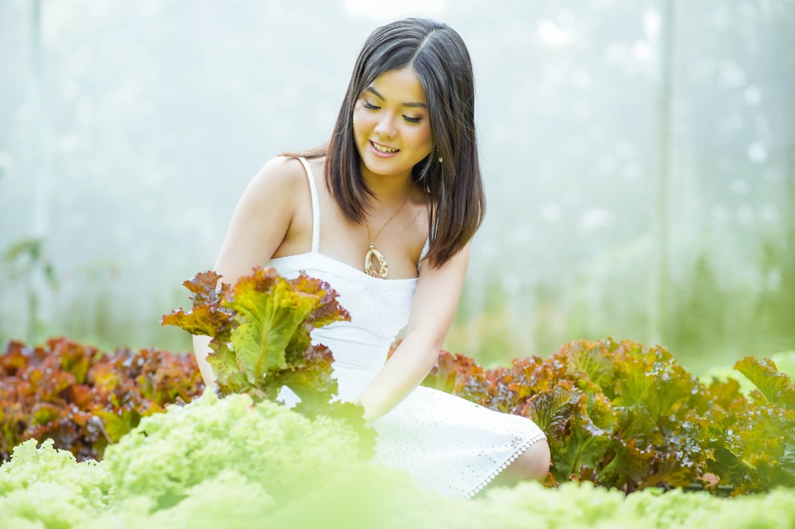 wellness – organic farming