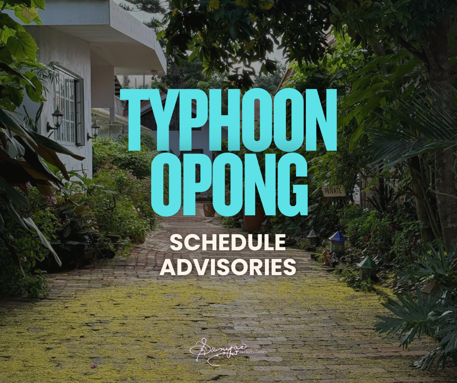typhoon opong announcement