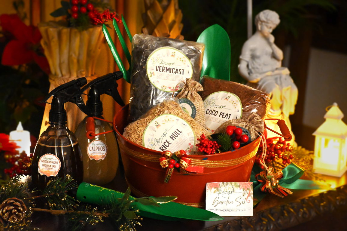 sonya’s garden christmas basket 3 sonya's garden christmas basket 3