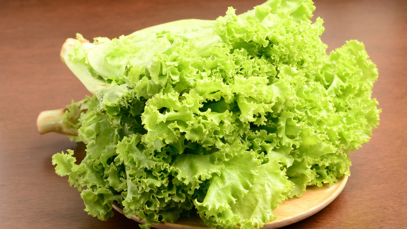 plate of lettuce plate of lettuce