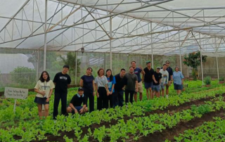 Sonya's Garden - Paypal team building (7)
