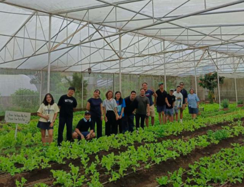 Cultivating Team Spirit: A Day of Growth at Sonya’s Garden