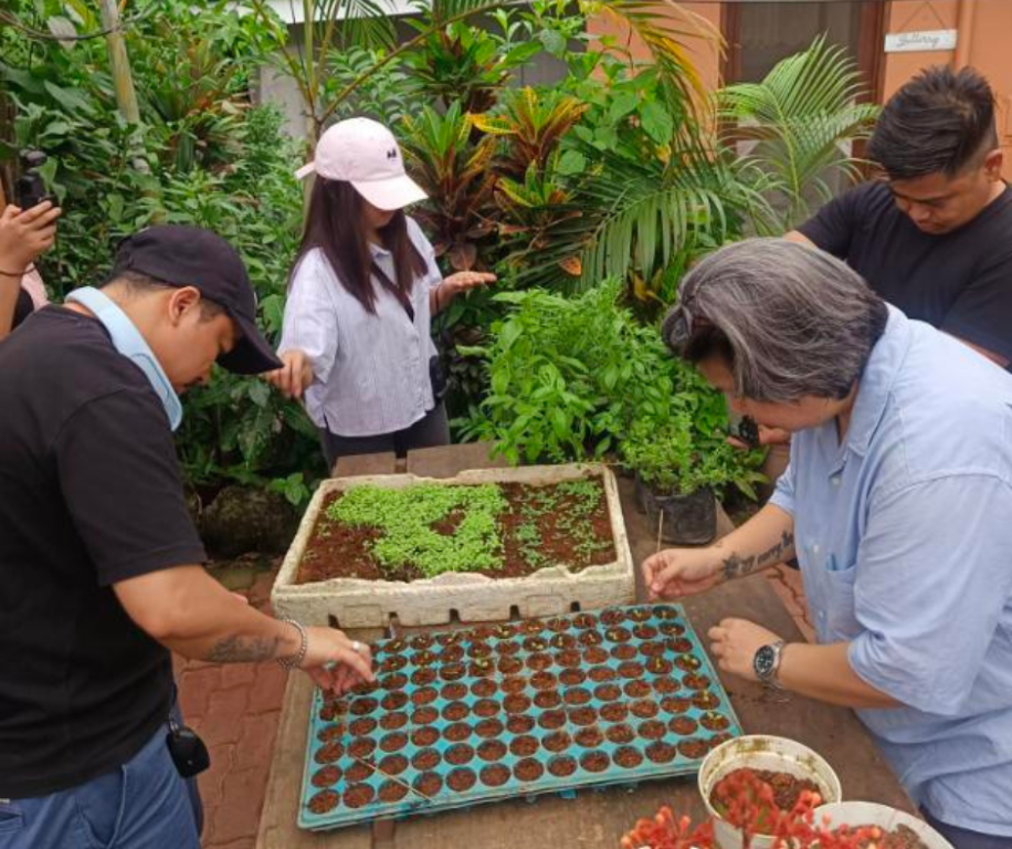 paypal gardening at sonya’s garden